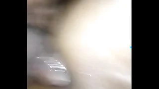 612 shemale porn videos